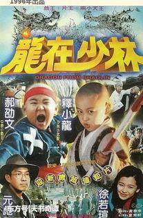 电影功夫小龙在线观看,热血青春，武术传奇  第2张