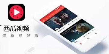 今日西瓜爆料视频最新,揭秘今日热点事件幕后真相 第3张 今日西瓜爆料视频最新,揭秘今日热点事件幕后真相 第3张